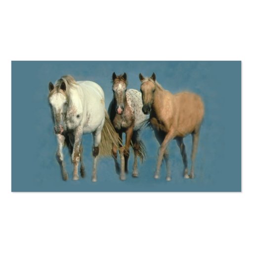 Horses Wild and Wonderful Business Card