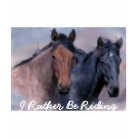 horse, horses, equine, equestrian, horse lover,