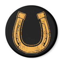 horseshoe2 magnets
