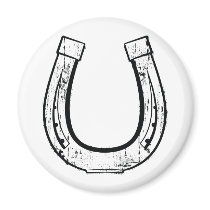 horseshoe3 magnets