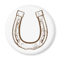 horseshoe4 magnets