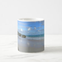 HorseShoe Beach  mugs