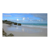 HorseShoe Beach  posters