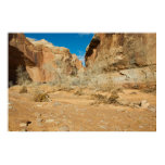 Horseshoe Canyon-Flood debris posters