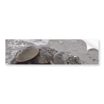 Horseshoe Crab bumper stickers