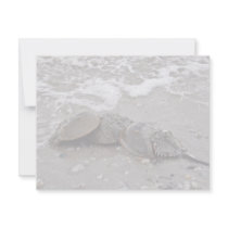 Horseshoe Crab invitations