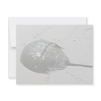 Horseshoe Crab invitations