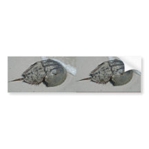 Horseshoe Bumper