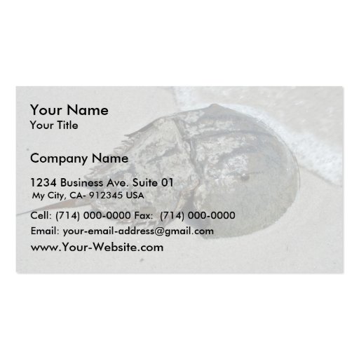Horseshoe Crab - male Business Card Template (front side)