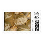 Horseshoe Crab Postage Stamp
