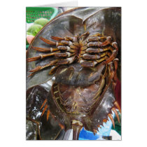 Horseshoe Crab ... Thai Street Food Card - Card