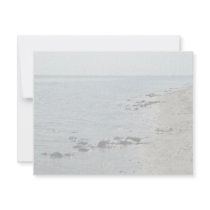 Horseshoe Crabs along beach invitations