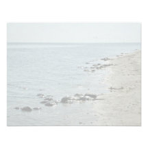 Horseshoe Crabs along beach Personalized Invitation