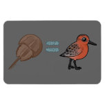 Horseshoe Crabs are Life Rectangular Magnets