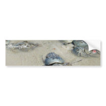 Horseshoe Crabs in water bumper stickers