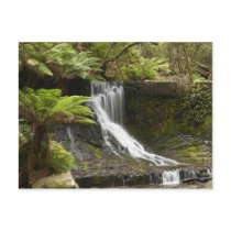 Horseshoe Falls, Mount Field National Park,