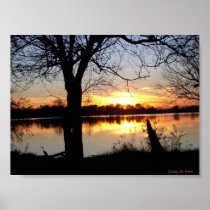 Horseshoe Lake posters