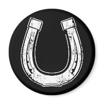 horseshoe magnets