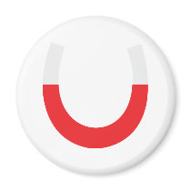horseshoe magnet red