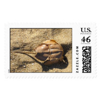 HorseShoe postage