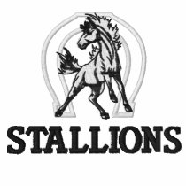 Horseshoe with Horse Polo embroidered shirts