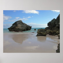 HorseshoeBay Bermuda Print