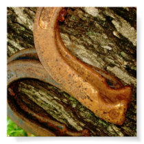 Horseshoes posters
