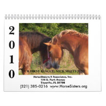 HORSESISTERS 2010 CALENDAR