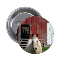 horsew-barn button