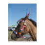 Horsey 4th post cards