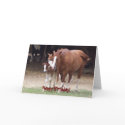 Horsey Birthday Card