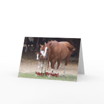 Horsey Birthday Card by patcallum Horsey Birthday Card