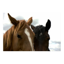 horsey love poster posters
