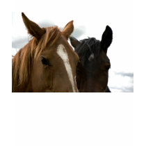 horsey love t-shirt