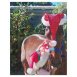 Horsie Claus and his helper! flyers