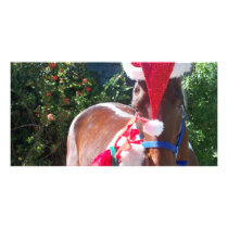 Horsie Claus and his helper! Picture Card