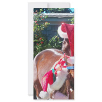 Horsie Claus and his helper! rack cards by Animal_Anticipation Horsie Claus and his helper! rack cards