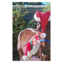Horsie Claus and his helper! stationery