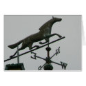 Horsie Weathervane cards
