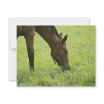 Horsing Around Personalized Invitations