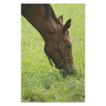 Horsing Around stationery