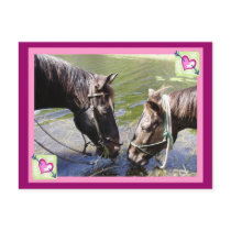 Horsy Valentine postcards