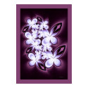 Hortensia posters