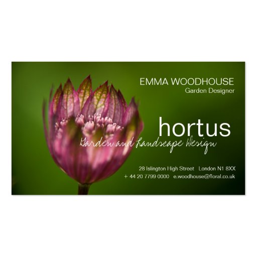 Hortus - Great Masterwort Business Card (front side)