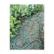 Hose postcards by stardustdeep Hose postcards