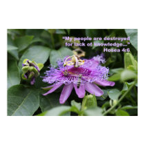 Hosea 4:6 Scripture Poster posters