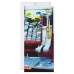 Hoses in Fire Truck rack cards