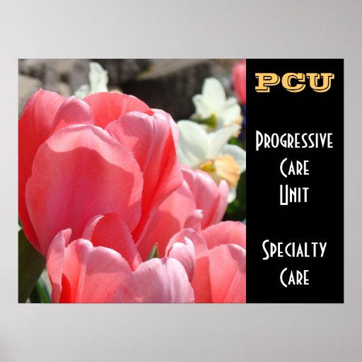 Pcu quotes thesis image