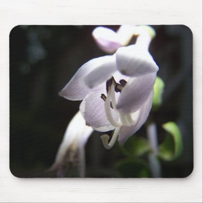 Hosta01 Mousepad by Sarahsmile