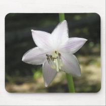 Hosta Bloom Mouse Pad mousepads
